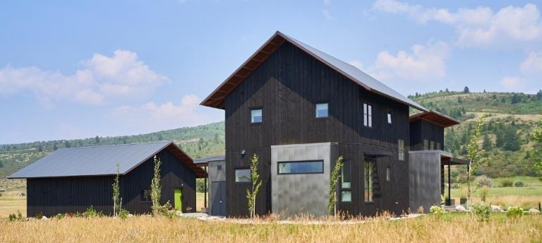 Modern Farmhouse in AquaFir™ Black